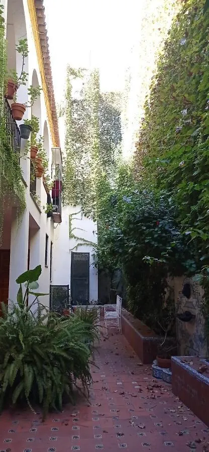 Apartment Apartamento Santa Cruz 3 Spain