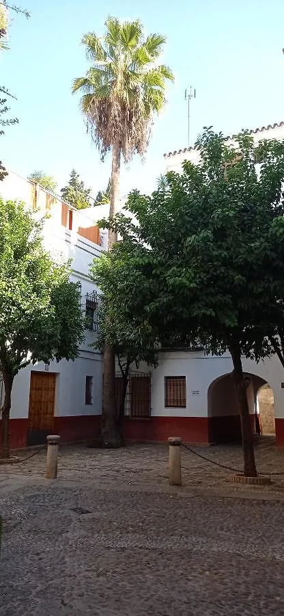 Lägenhet Apartamento Santa Cruz 3
